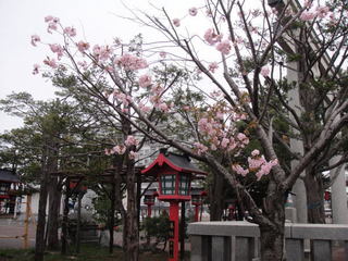 20130519-01a.jpg